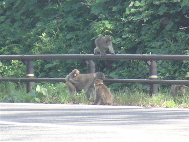 胎内星まつり2023a